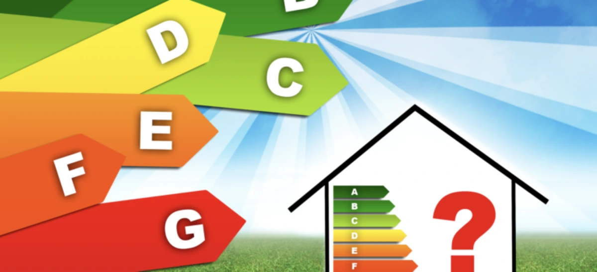 Horloge moderne entourée de feuilles vertes, symbolisant la durée de validité et l'écologie